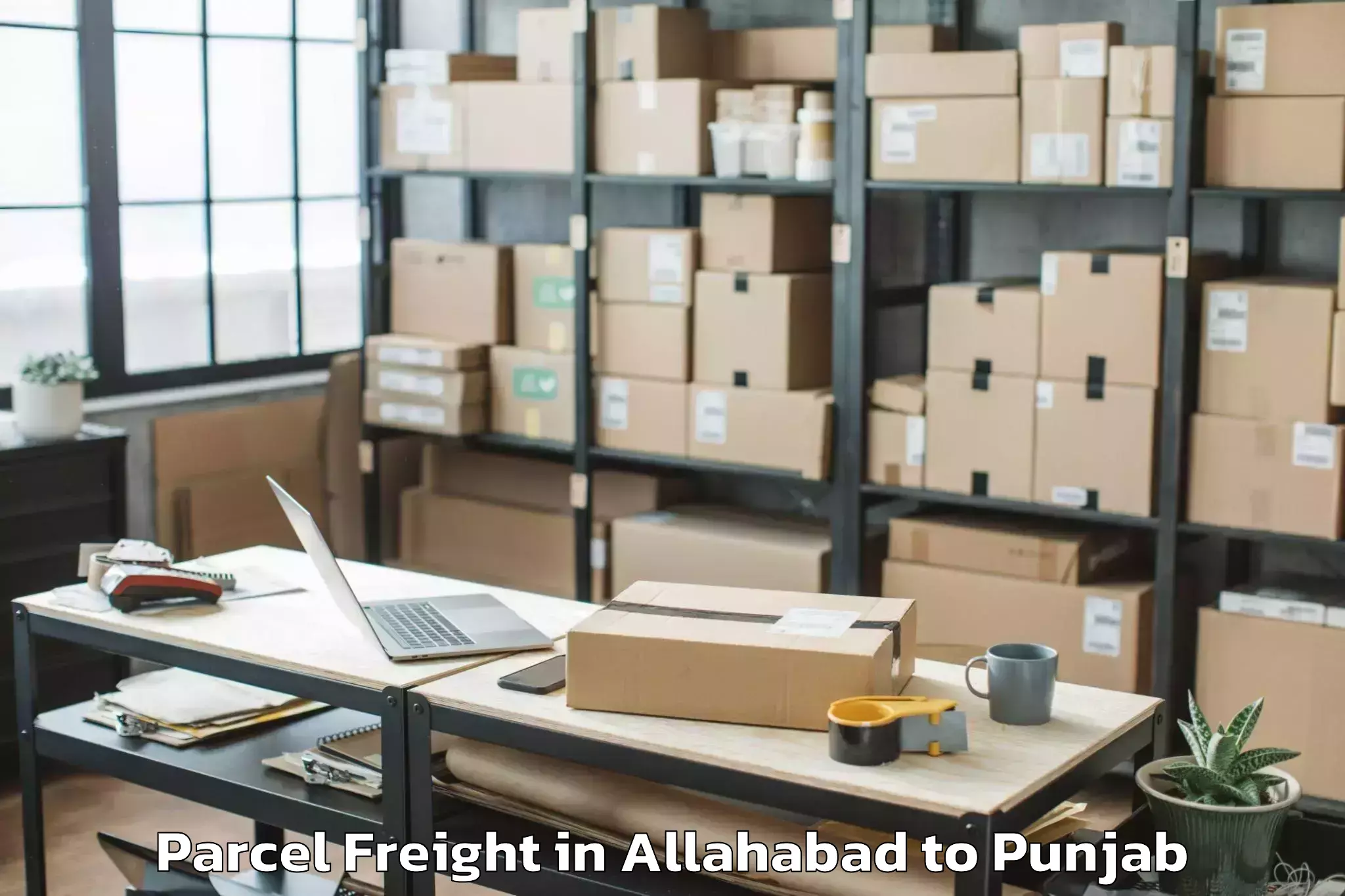 Expert Allahabad to Sunam Parcel Freight